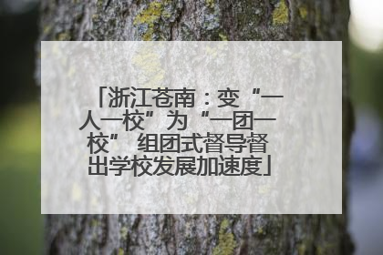 浙江苍南：变“一人一校”为“一团一校” 组团式督导督出学校发展加速度