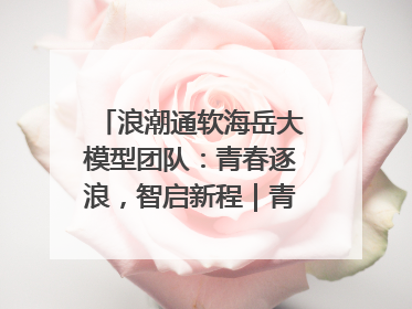 浪潮通软海岳大模型团队：青春逐浪，智启新程｜青春思政课