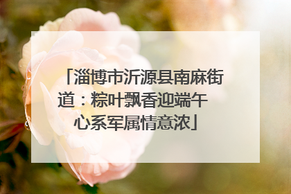 淄博市沂源县南麻街道：粽叶飘香迎端午 心系军属情意浓