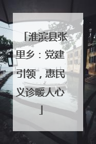 淮滨县张里乡：党建引领，惠民义诊暖人心