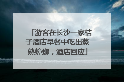 游客在长沙一家桔子酒店早餐中吃出蒸熟蟑螂，酒店回应