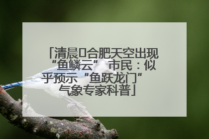 清晨﻿合肥天空出现“鱼鳞云” 市民：似乎预示“鱼跃龙门” 气象专家科普
