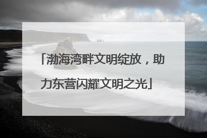 渤海湾畔文明绽放，助力东营闪耀文明之光