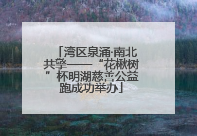湾区泉涌·南北共擎——“花楸树”杯明湖慈善公益跑成功举办