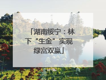 湖南绥宁：林下“生金”实现绿富双赢