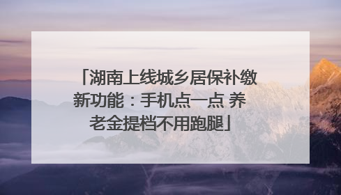湖南上线城乡居保补缴新功能：手机点一点 养老金提档不用跑腿