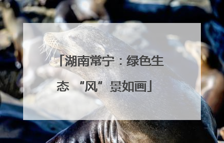 湖南常宁：绿色生态 “风”景如画