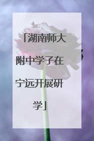 湖南师大附中学子在宁远开展研学