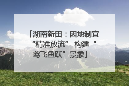 湖南新田：因地制宜“精准放流” 构建“鸢飞鱼跃”景象
