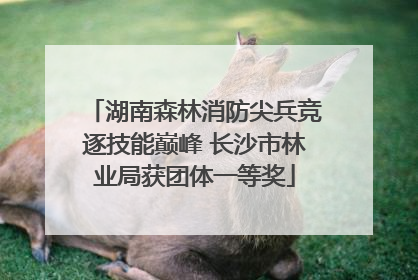 湖南森林消防尖兵竞逐技能巅峰 长沙市林业局获团体一等奖