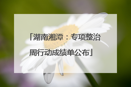 湖南湘潭：专项整治周行动成绩单公布