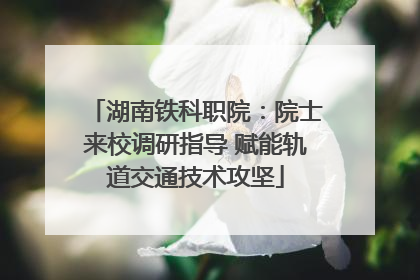 湖南铁科职院：院士来校调研指导 赋能轨道交通技术攻坚