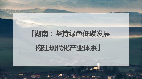湖南：坚持绿色低碳发展 构建现代化产业体系