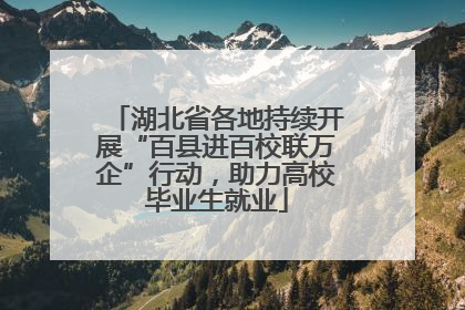 湖北省各地持续开展“百县进百校联万企”行动，助力高校毕业生就业