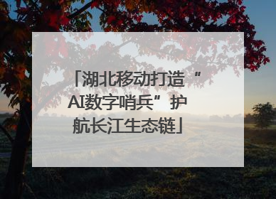 湖北移动打造“AI数字哨兵”护航长江生态链