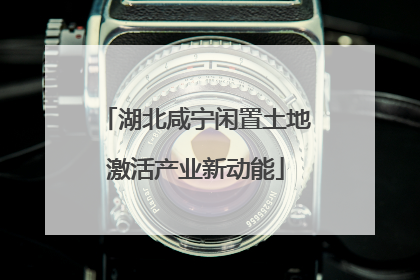 湖北咸宁闲置土地激活产业新动能