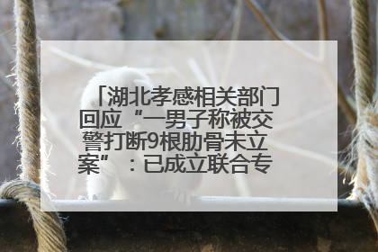 湖北孝感相关部门回应“一男子称被交警打断9根肋骨未立案”：已成立联合专班开展工作