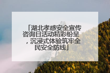 湖北孝感安全宣传咨询日活动精彩纷呈，沉浸式体验筑牢全民安全防线