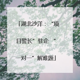湖北沙洋：“项目警长”驻企 “一对一”解难题
