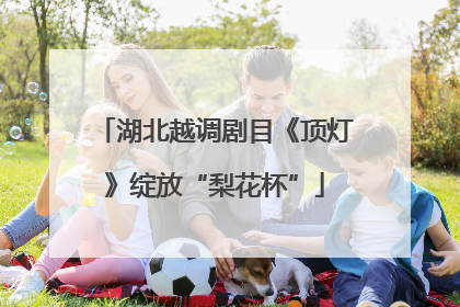 湖北越调剧目《顶灯》绽放“梨花杯”