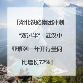 湖北铁路集团冲刺“双过半” 武汉中亚班列一年开行量同比增长72%