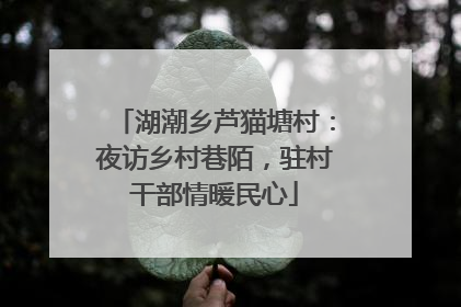 湖潮乡芦猫塘村：夜访乡村巷陌，驻村干部情暖民心