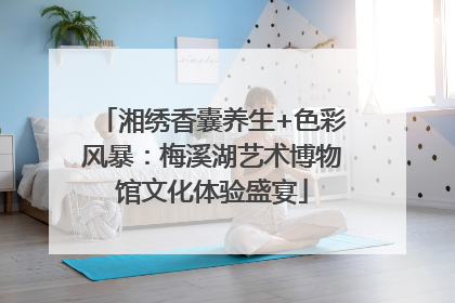 湘绣香囊养生+色彩风暴：梅溪湖艺术博物馆文化体验盛宴