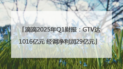 滴滴2025年Q1财报：GTV达1016亿元 经调净利润29亿元