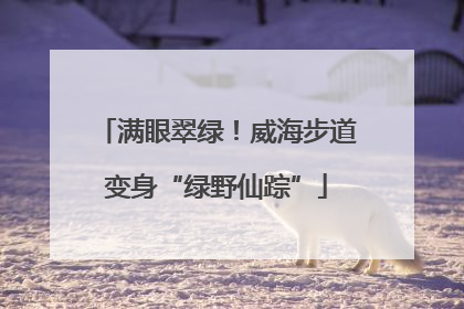 满眼翠绿！威海步道变身“绿野仙踪”
