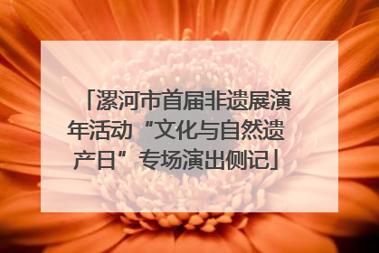 漯河市首届非遗展演年活动“文化与自然遗产日”专场演出侧记