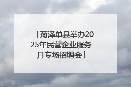 菏泽单县举办2025年民营企业服务月专场招聘会