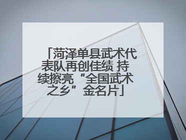 菏泽单县武术代表队再创佳绩 持续擦亮“全国武术之乡”金名片
