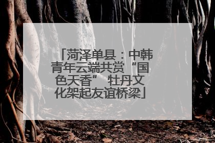 菏泽单县：中韩青年云端共赏“国色天香” 牡丹文化架起友谊桥梁