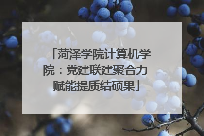 菏泽学院计算机学院：党建联建聚合力 赋能提质结硕果