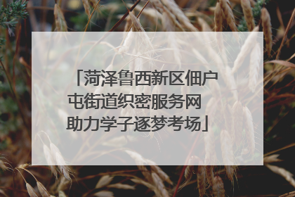 菏泽鲁西新区佃户屯街道织密服务网 助力学子逐梦考场