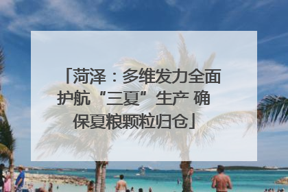 菏泽：多维发力全面护航“三夏”生产 确保夏粮颗粒归仓