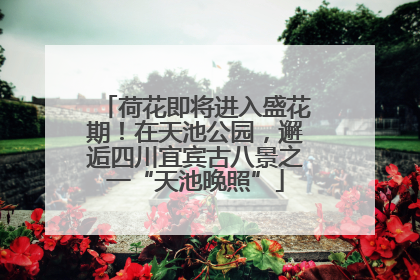 荷花即将进入盛花期！在天池公园，邂逅四川宜宾古八景之一“天池晚照”