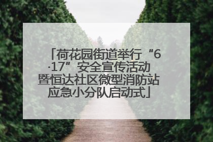 荷花园街道举行“6·17”安全宣传活动暨恒达社区微型消防站应急小分队启动式