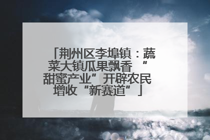 荆州区李埠镇：蔬菜大镇瓜果飘香 “甜蜜产业”开辟农民增收“新赛道”