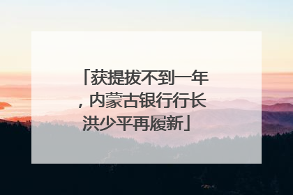 获提拔不到一年，内蒙古银行行长洪少平再履新