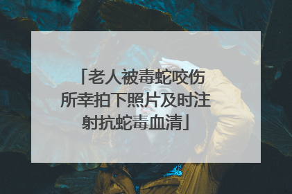 老人被毒蛇咬伤 所幸拍下照片及时注射抗蛇毒血清