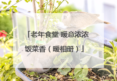 老年食堂 暖意浓浓饭菜香（暖相册）