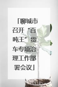 聊城市召开“百吨王”货车专项治理工作部署会议
