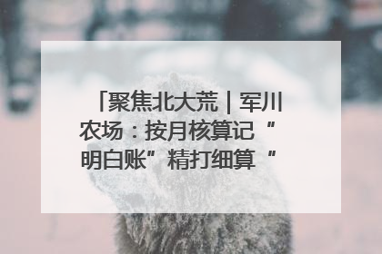 聚焦北大荒｜军川农场：按月核算记“明白账”精打细算“过紧日子”