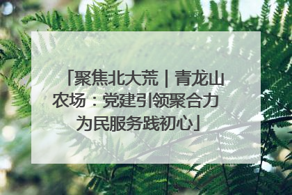 聚焦北大荒｜青龙山农场：党建引领聚合力 为民服务践初心
