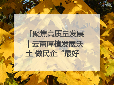 聚焦高质量发展｜云南厚植发展沃土 做民企“最好合伙人”