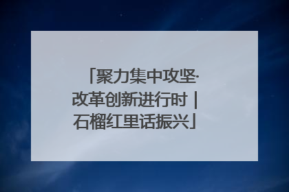 聚力集中攻坚·改革创新进行时｜石榴红里话振兴