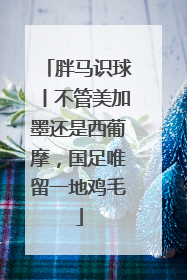 胖马识球丨不管美加墨还是西葡摩，国足唯留一地鸡毛