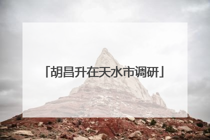 胡昌升在天水市调研