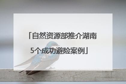 自然资源部推介湖南5个成功避险案例